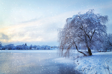 Winter landscape with lake and tree in the frost with falling sn