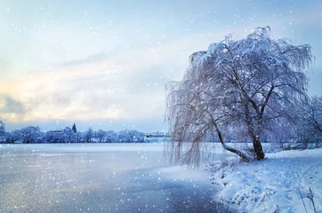 Papier Peint photo autocollant Hiver Winter landscape with lake and tree in the frost with falling sn