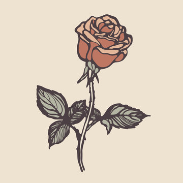 Vintage hand drawn rose.