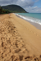 Guadeloupe, la plage de Grand Anse à Basse-Terre