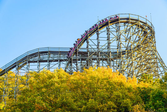 Roller Coaster In Korea Park