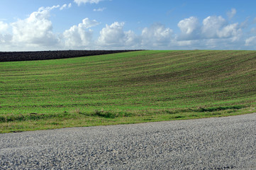 Fototapeta na wymiar Road, green field and blue sky