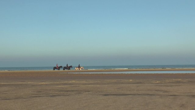 équitation sur la plage