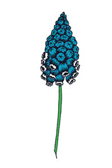 Hand drawn vector flower