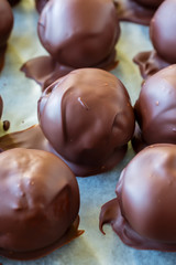 Homemade chocolate peanut butter balls. A Christmas favorite.