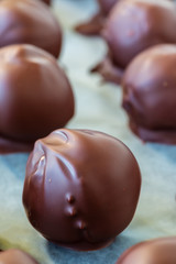 Homemade chocolate peanut butter balls. A Christmas favorite.