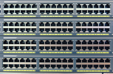 plurality of copper ports RJ45