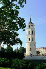 Fototapeta na wymiar Vilnius town Cathedral belfry in Cathedral square