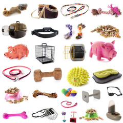 pet accessories - obrazy, fototapety, plakaty