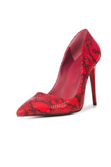 Woman shoes isolated on the white