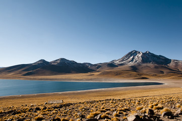 Miscanti Lagoon - Chile