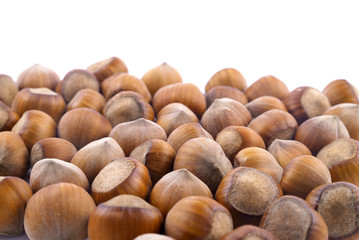 hazelnuts on a white background