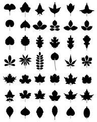 Fototapeta premium Black silhouettes of leaves of trees, vector