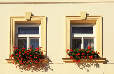 Fototapeta na wymiar windows and flower boxes, Prague