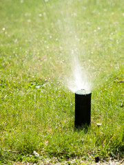 Fototapeta na wymiar Gardening. Lawn sprinkler spraying water over grass.