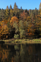 autumn forest reflecting in waters of the river, Szczawnica, Pol