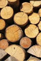 wood logs background