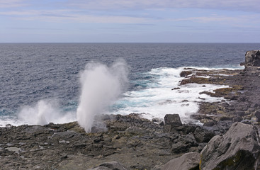 Fototapeta na wymiar Blowhole on a rugged coast