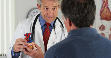 Doctor explaining heart to elderly patient