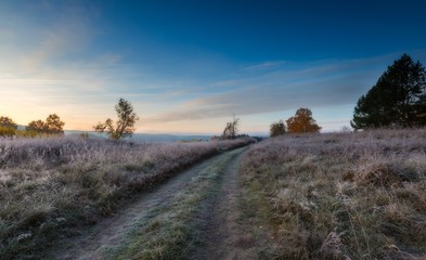 Autumnal frosty morning on meadow