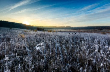 Autumnal frosty morning on meadow