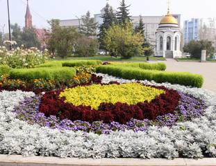 Obraz premium City flowers