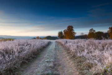 Autumnal frosty morning on meadow