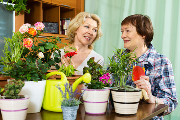 Two aged women taking care of decorative plants