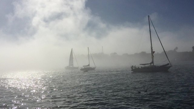Sailboat sailing in the fog in Marina del Rey