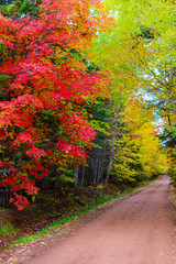 Fototapeta na wymiar Red direct road surrounded by the colours of fall in Prince Edward Island Canada