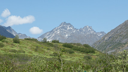 Alaska's Forests and Mountains
