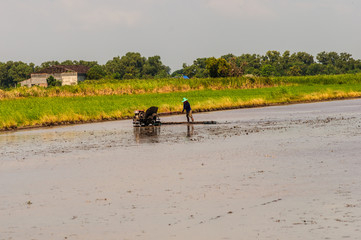 Thai farmers working with a handheld motor plow in a rice field.