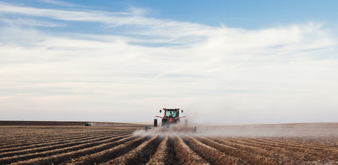 Tractor planting a potato crop - obrazy, fototapety, plakaty