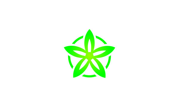  Ecology leaves and symbols logo