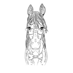Hipster horse vector illustration. 