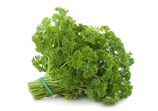 Curly Parsley Bunch