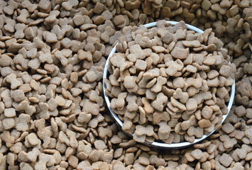 pet food on stainless bowl