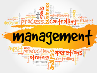 Fototapeta premium MANAGEMENT word cloud, business concept