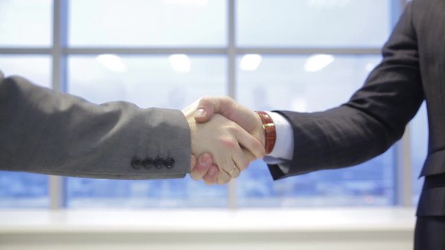 handshake closeup of two businessmen in bright office against window