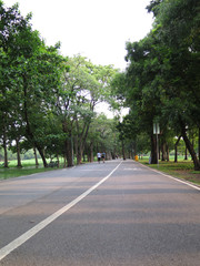 view of bike road in a park