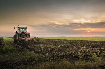 Fototapeta premium Tractor plowing a field
