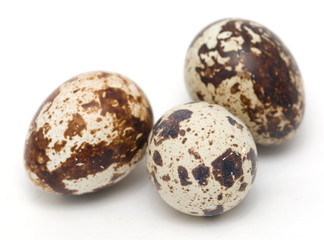 quail eggs on a white background