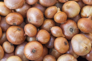 Onion Raw fruit and vegetable backgrounds overhead perspective, part of a set collection of healthy organic fresh produce