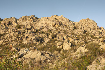 Mediterranean vegetation in Sierra de los Porrones, Guadarrama Mountains, Madrid, Spain.
