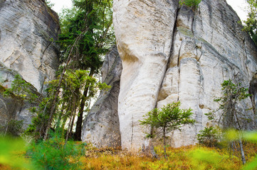 Cesky raj sandstone cliffs - Prachov Rocks, Czech Republic