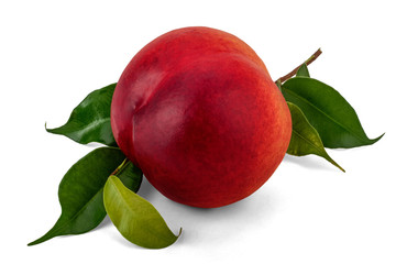 One Nectarine