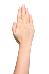 Female hand extended in greeting isolated on white.