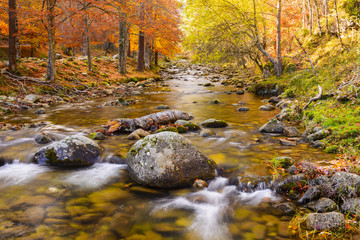Iregua river at Sierra Cebollera Natural Park, La Rioja (Spain)