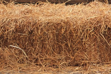Dry straw texture