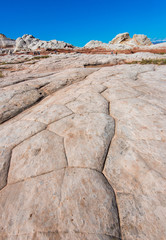 White Pocker, Arizona